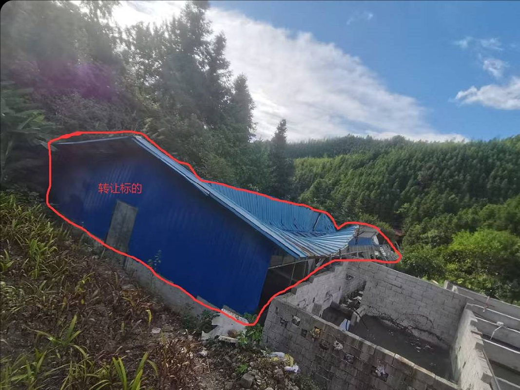 桂林市资源县梅溪镇坪水底村一批废旧资产转让项目