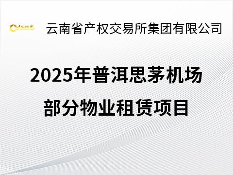 2025年普洱思茅机场部分物业租赁项目