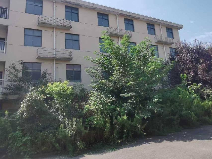 原上海胶带厂红线办公楼拆除项目转让公告