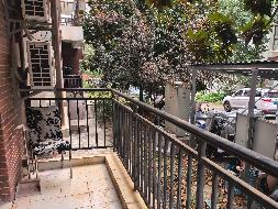 丽江市玉龙县夏禾路8号玉和苑50套房产整体租赁(国资监测编号GR2025YN1001545)