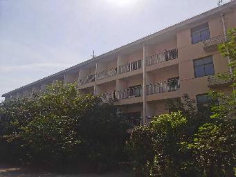 原上海胶带厂红线办公楼拆除项目转让公告