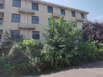 原上海胶带厂红线办公楼拆除项目转让公告