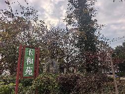 丽江市玉龙县夏禾路8号玉和苑50套房产整体租赁(国资监测编号GR2025YN1001545)