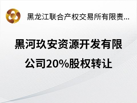黑河玖安资源开发有限公司20%股权转让交易公告(国资监测编号G32025HL2000035)