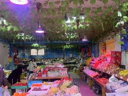 天水市麦积区分路口花牛路9号2幢1-8号租赁公告