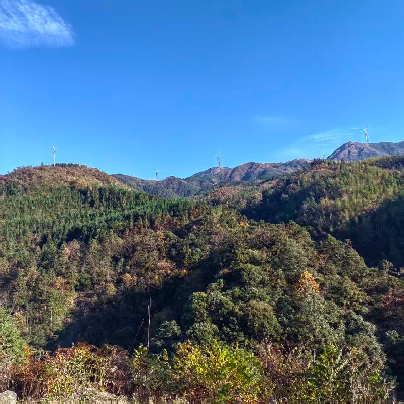 桂林市资源县梅溪镇坪水底村约415亩土地经营权流转项目