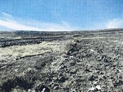 岷县岷州文旅发展(集团)有限公司 岷山种畜场土地租赁公告