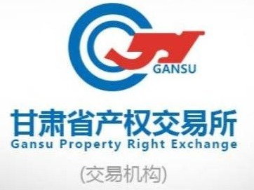 大唐甘肃发电有限公司碧口水力发电厂2025年废旧资产转让公告