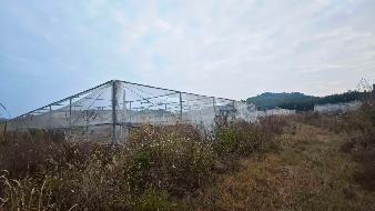 贺州市富川县石家乡石枧村约7200平方米果蔬大棚招租项目