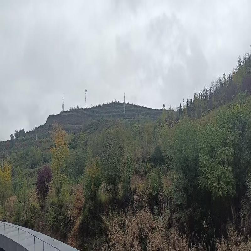 天水市麦积区甘泉镇麦积山国际露营地闲置土地及部分房屋建筑租赁公告