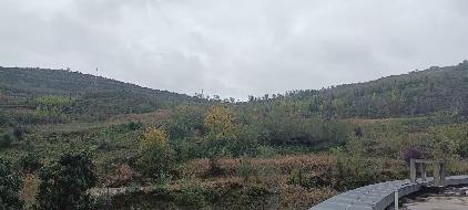 天水市麦积区甘泉镇麦积山国际露营地闲置土地及部分房屋建筑租赁公告