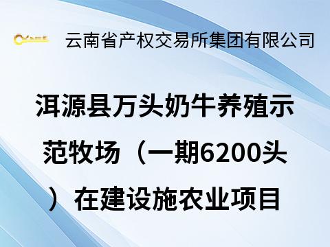 洱源县万头奶牛养殖示范牧场（一期6200头）在建设施农业项目转让(国资监测编号GR2025YN1001599)