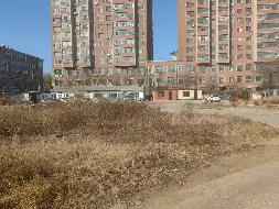 黑龙江农业职业技术学院体育场北侧场地招租交易公告(国资监测编号GR2025HL2007343)
