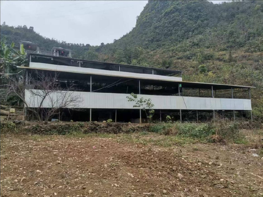 河池市大化瑶族自治县板升乡弄纳村木林屯500平方米鸽子养殖场招租项目