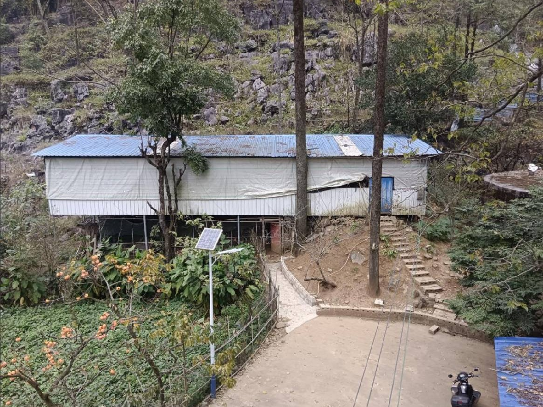 河池市大化瑶族自治县板升乡弄纳村瑶水屯225平方米鸽子养殖场招租项目