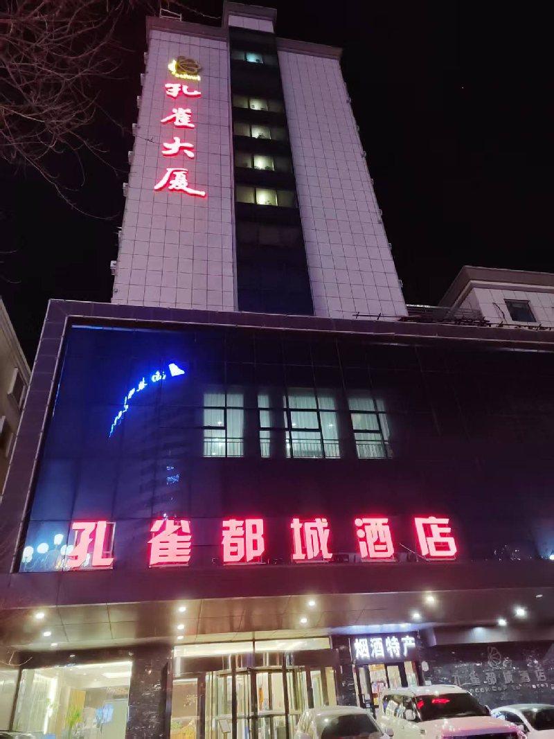 乌鲁木齐孔雀大厦商贸有限公司租赁位于乌鲁木齐市沙依巴克区友好南路489号（原友好南路71号）孔雀大厦综合楼3层3号商业房产（922.89㎡）(二次挂牌)(国资监测编号GR2025XJ1002063-2)
