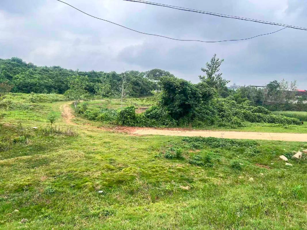 【中石化岳阳分公司】岳阳华容洪山头镇洪山头油库部分场地招租（约500平方米）