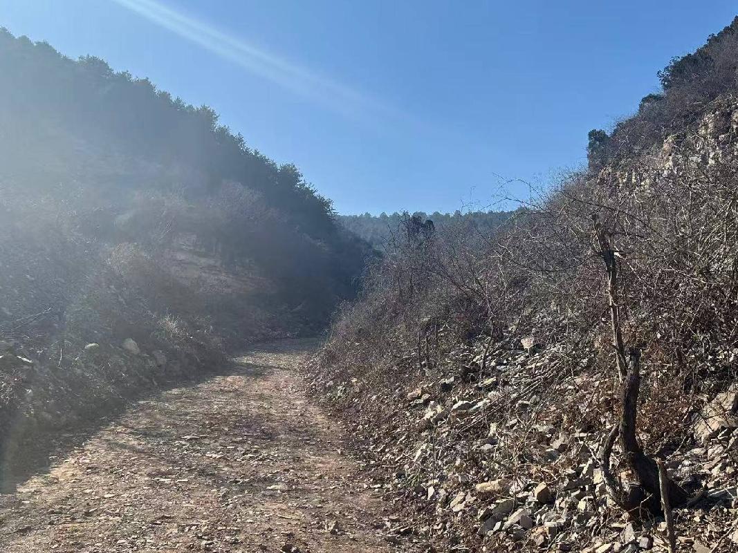 石灰石资源10500吨转让公告