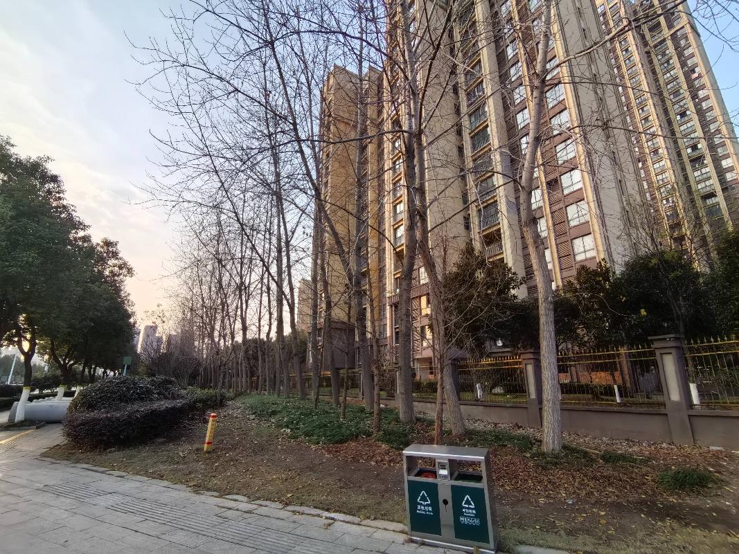 无为市无城镇幸福东路约329棵杨树转让（五次降价）公告(国资监测编号GR2026AH2000582)