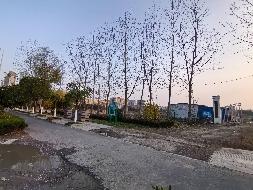 无为市无城镇幸福东路约329棵杨树转让（五次降价）公告(国资监测编号GR2026AH2000582)