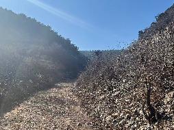 石灰石资源10500吨转让公告