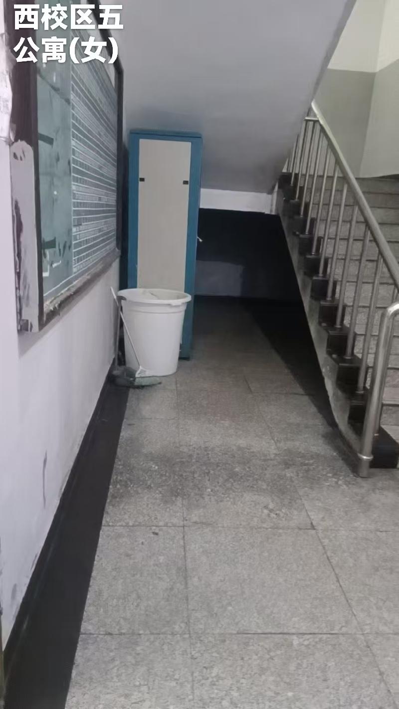 交通职业技术学院齐齐哈尔南校区、西校区学生公寓自动售货机场地出租交易公告