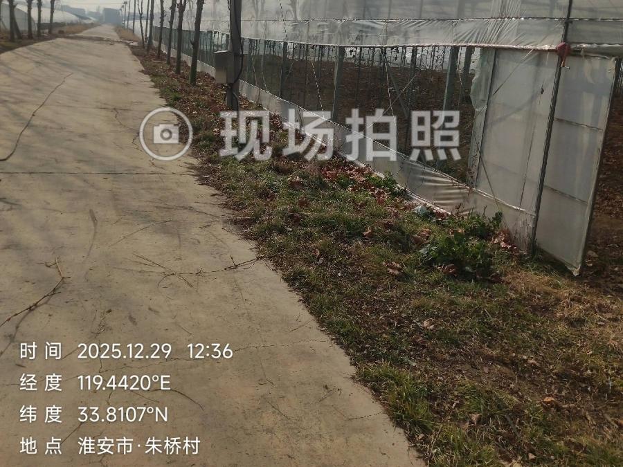 黄营镇农业园区一期土地大棚出租招租公告