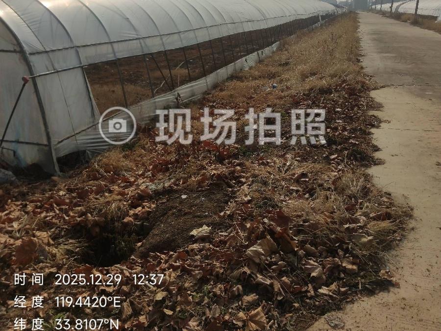 黄营镇农业园区一期土地大棚出租招租公告