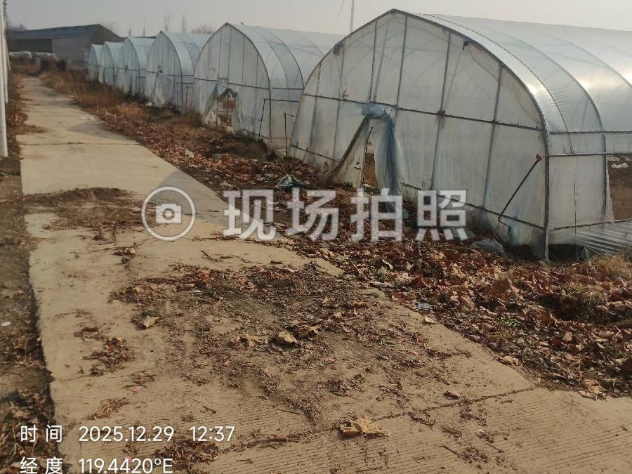 黄营镇农业园区一期土地大棚出租招租公告