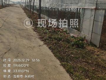黄营镇农业园区一期土地大棚出租招租公告