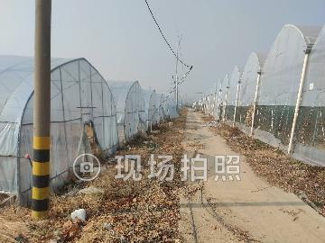 黄营镇农业园区一期土地大棚出租招租公告