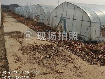 黄营镇农业园区一期土地大棚出租招租公告