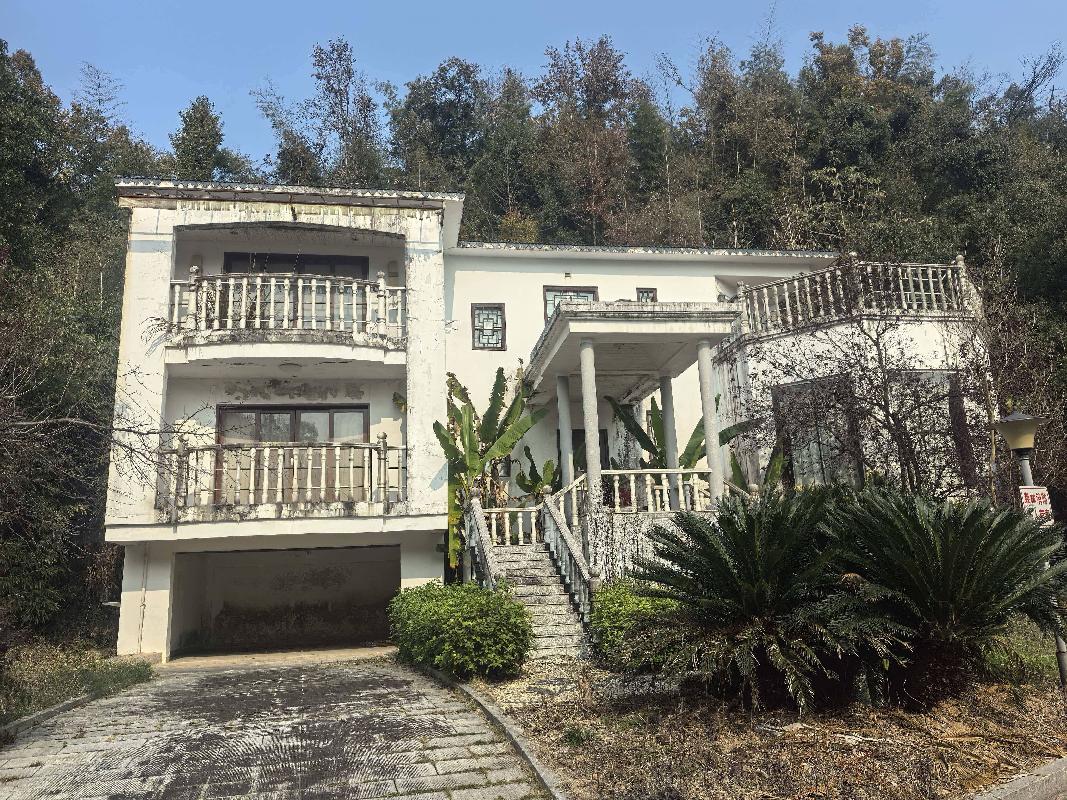 宁乡市历经铺南太湖村6宗其它商服用地（共计土地使用权面积89382.8m²）及地上13栋混合结构建筑物（共计建筑面积10801.73m²）(国资监测编号GR2025HN1003866)