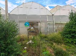 云南云天化现代农业发展有限公司澜沧基地高标准大棚租赁(国资监测编号GR2025YN1001603)