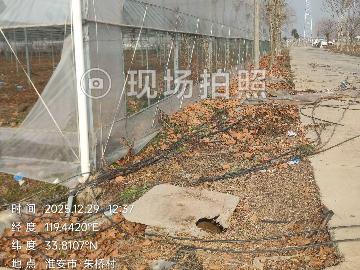 黄营镇农业园区一期土地大棚出租招租公告