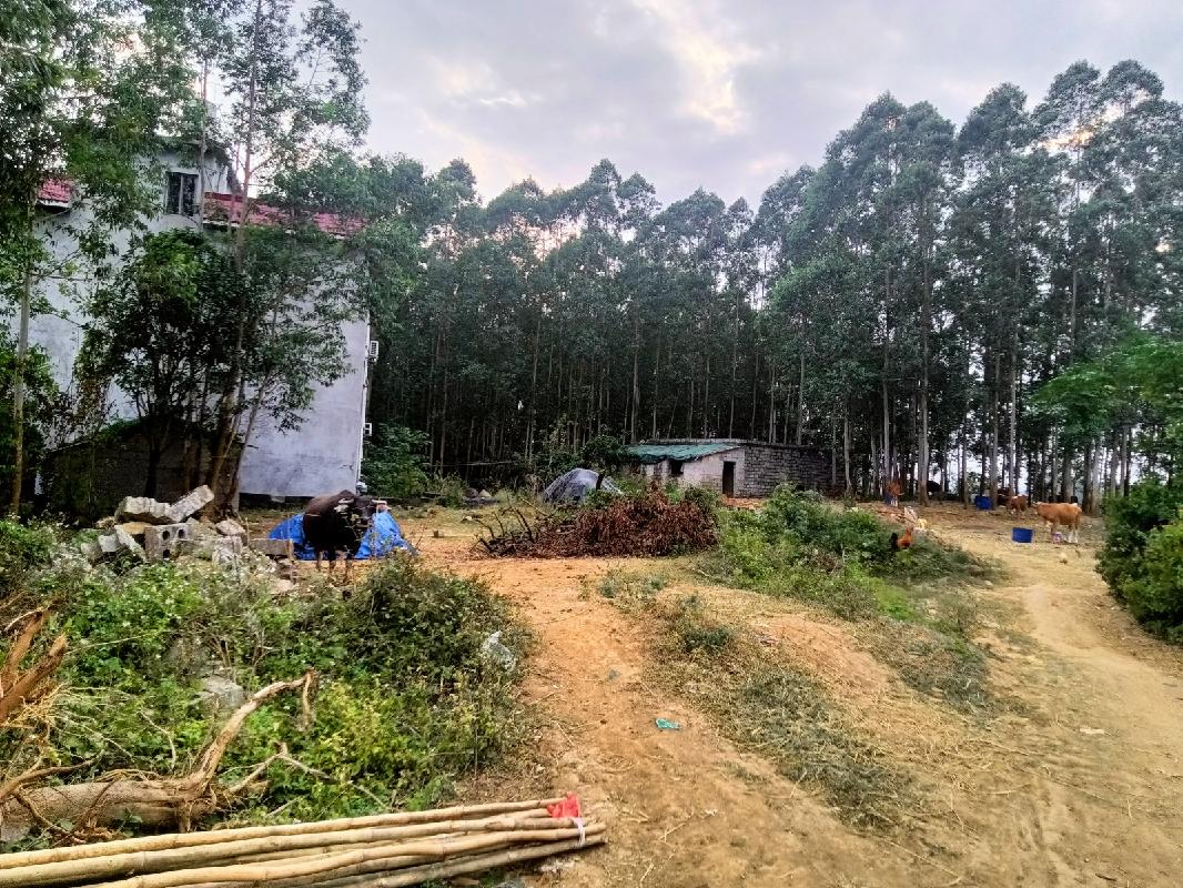 贵港市港北区根竹镇新民村7队约3.5亩土地经营权流转项目