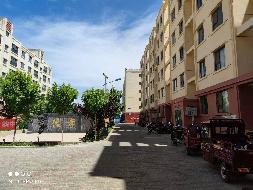 甘肃省酒泉市金塔县金色佳园小区房产转让公告（2026年第一批）
