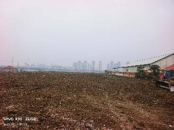 金枫达地块招租公告