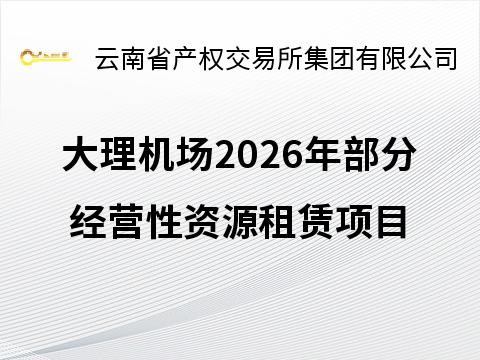 大理机场2026年部分经营性资源租赁项目