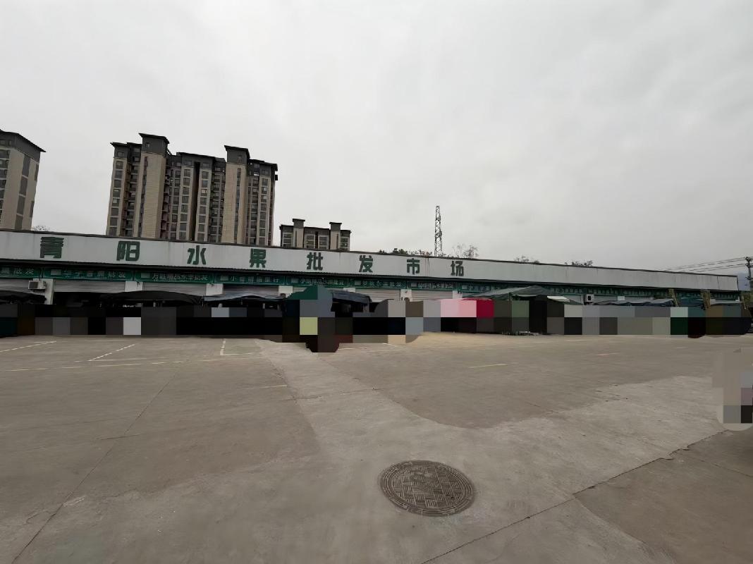 青阳县农产品冷链物流一体化项目及青阳县五星农贸批发市场整体出租公告(国资监测编号GR2026AH2000080)