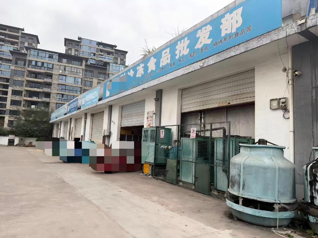 青阳县农产品冷链物流一体化项目及青阳县五星农贸批发市场整体出租公告(国资监测编号GR2026AH2000080)
