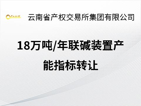 18万吨/年联碱装置产能指标转让(国资监测编号GR2026YN1000018)