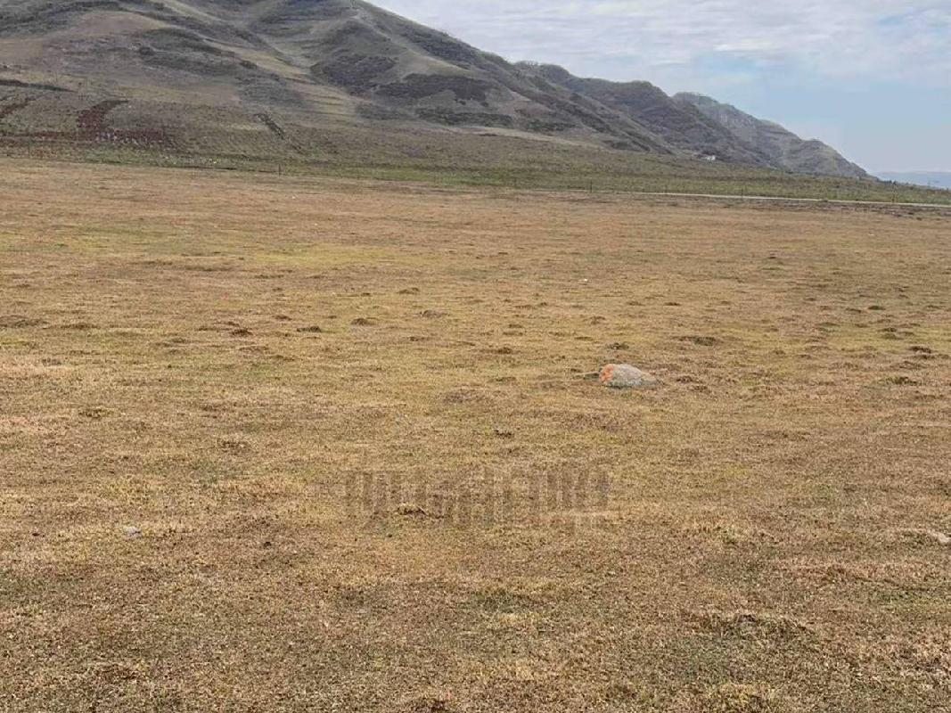 岷县岷州文旅发展(集团)有限公司岷山种畜场土地租赁（2026年第一批）公告