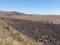 岷县岷州文旅发展(集团)有限公司岷山种畜场土地租赁（2026年第一批）公告