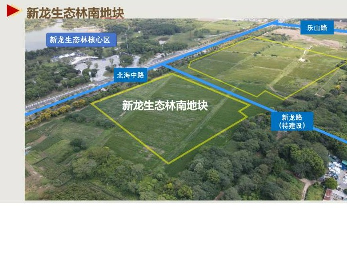 新龙生态林南地块土地使用权租赁招租公告