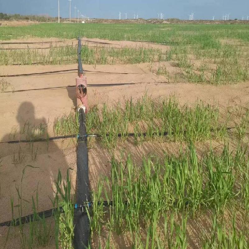 内蒙古自治区通辽市库伦旗额勒顺镇敖伦嘎查约4617亩水浇地土地经营权整体出租（租金580元/亩，租赁期限2026年3月1日至2026年11月20日）