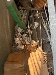 黄山市体育运动管理中心23项报废资产转让公告（重新挂牌）(国资监测编号GR2026AH2000133)