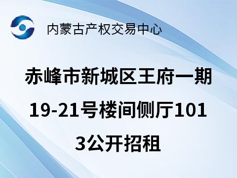赤峰市新城区王府一期19-21号楼间侧厅1013公开招租（租金底价48000.00元/年；租期2年）(国资监测编号GR2026NM1000567)