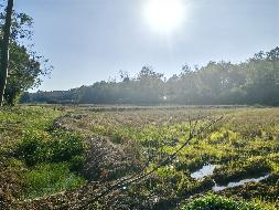 池州市杏花村文化旅游区约225.6亩农用地出租公告(国资监测编号GR2026AH2000142)