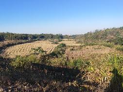 池州市杏花村文化旅游区约225.6亩农用地出租公告(国资监测编号GR2026AH2000142)